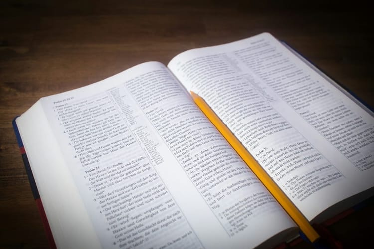 Estudo Bíblico: Cuidando dos Corações, Não os Ferindo